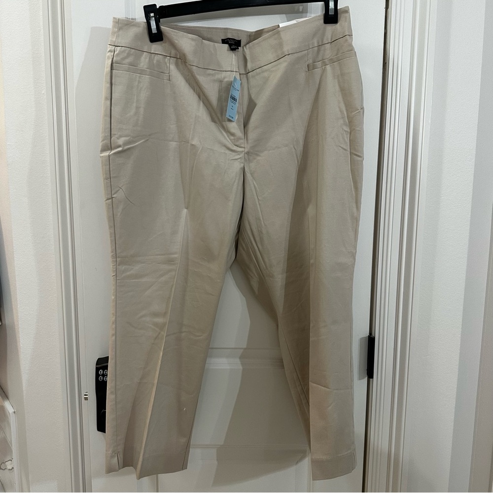 NWT Ann Taylor Factory Crop in 14P Curvy